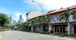 Bukit Pasoh Conservation Area (D2), Shop House #582238261